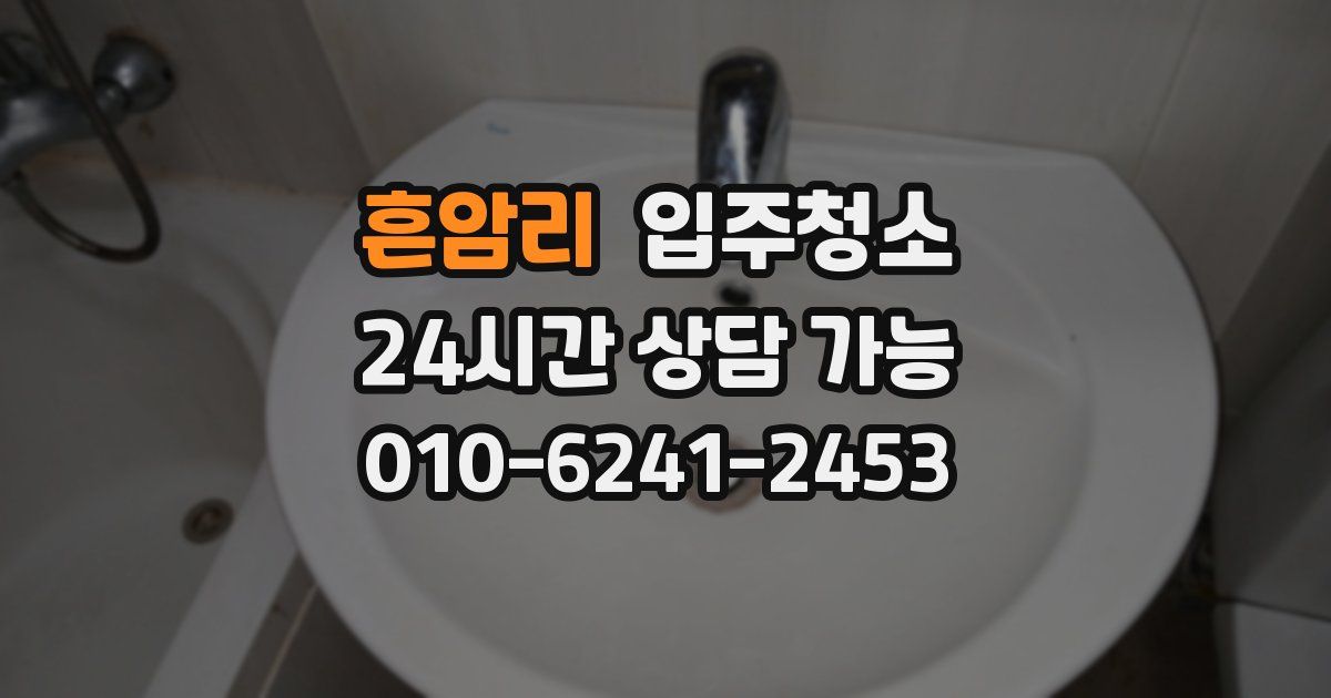 흔암리 입주청소