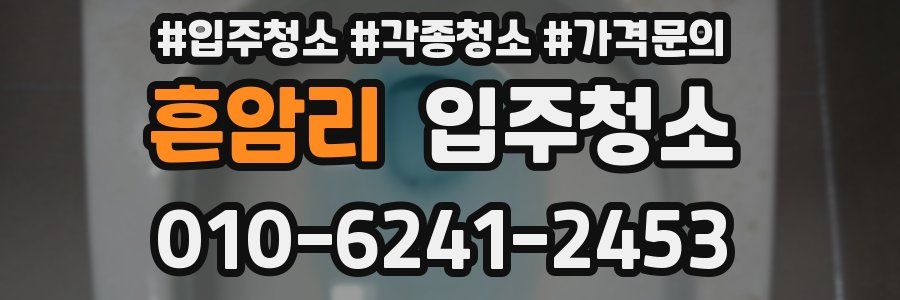 흔암리 이사청소