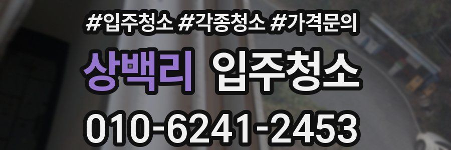 상백리 이사청소