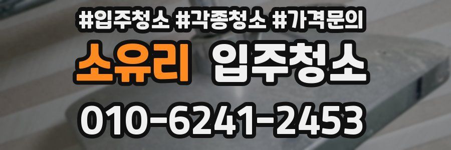 소유리 이사청소