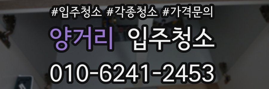 양거리 이사청소