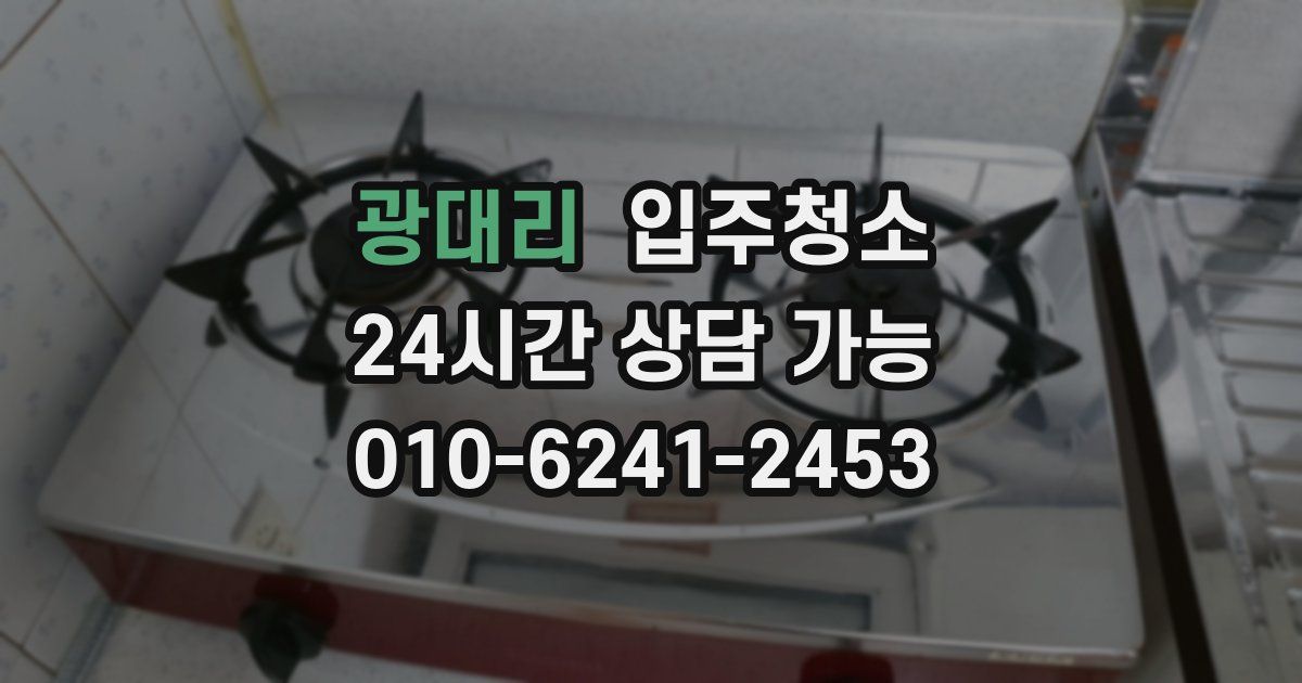 광대리 입주청소