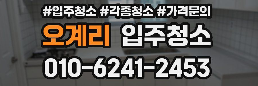 오계리 이사청소