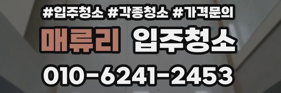 매류리 이사청소