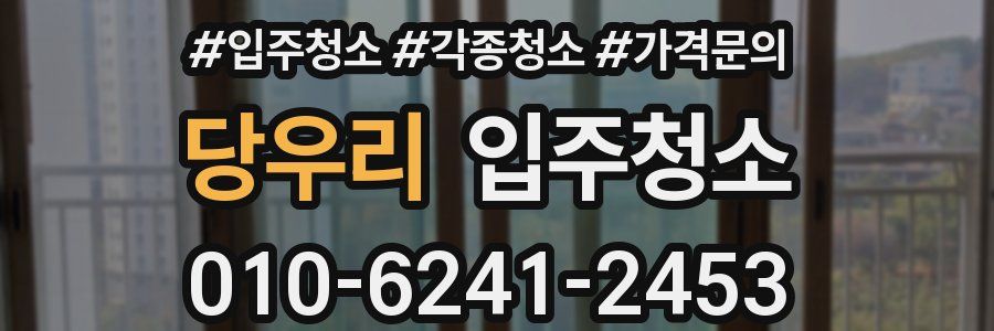 당우리 이사청소