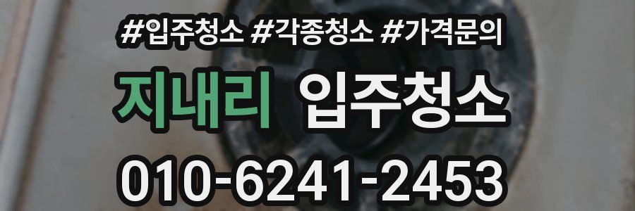 지내리 이사청소