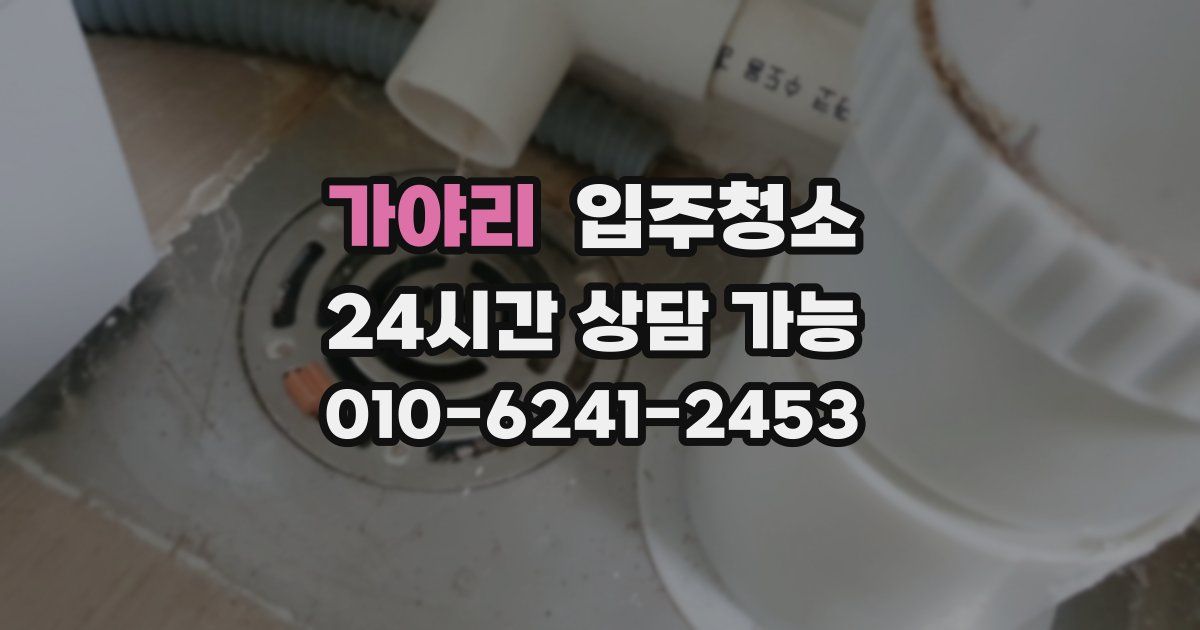 가야리 입주청소