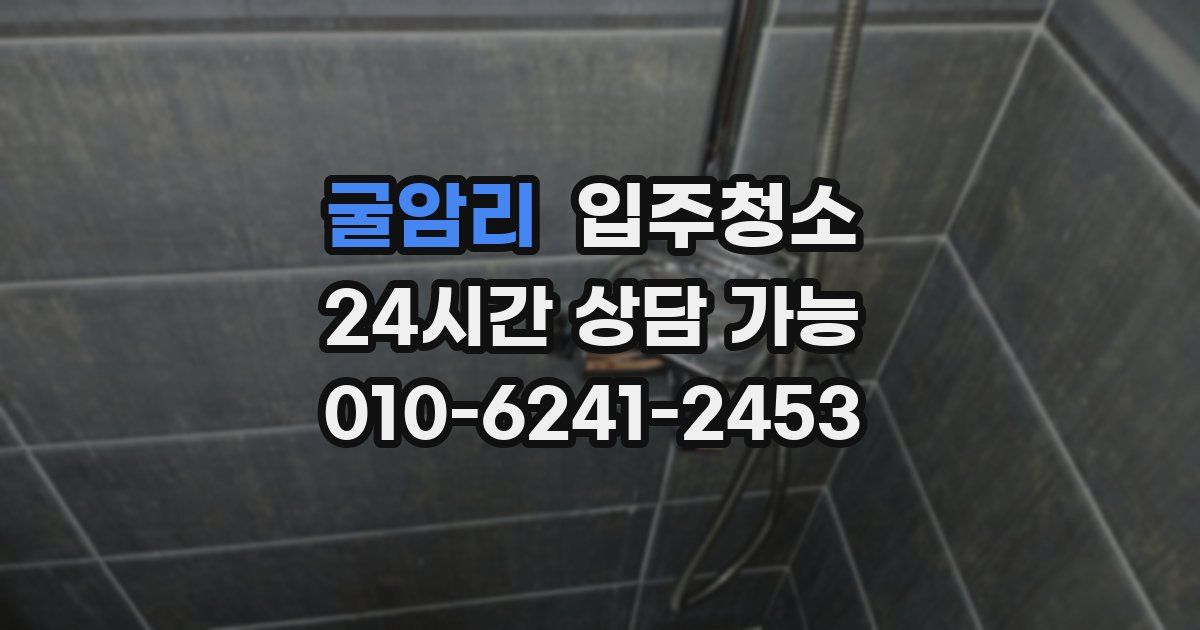굴암리 입주청소