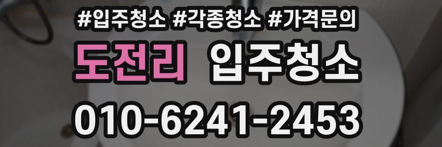 도전리 이사청소