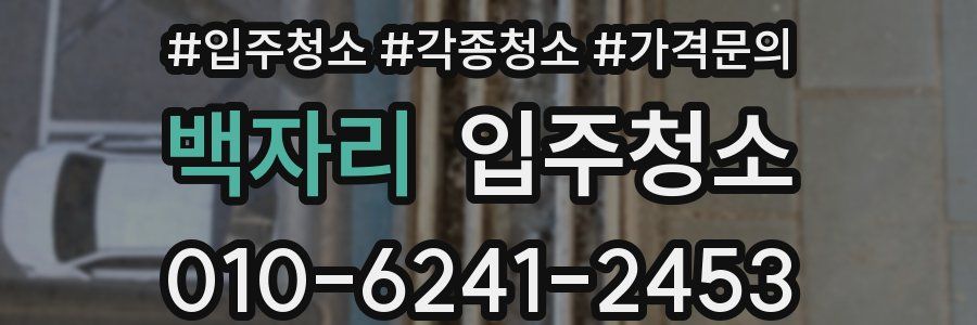 백자리 이사청소