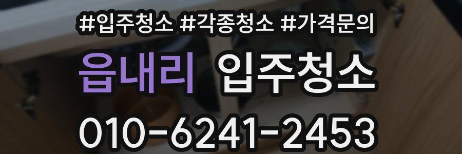 읍내리 이사청소