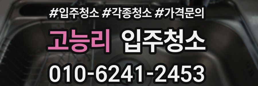 고능리 이사청소