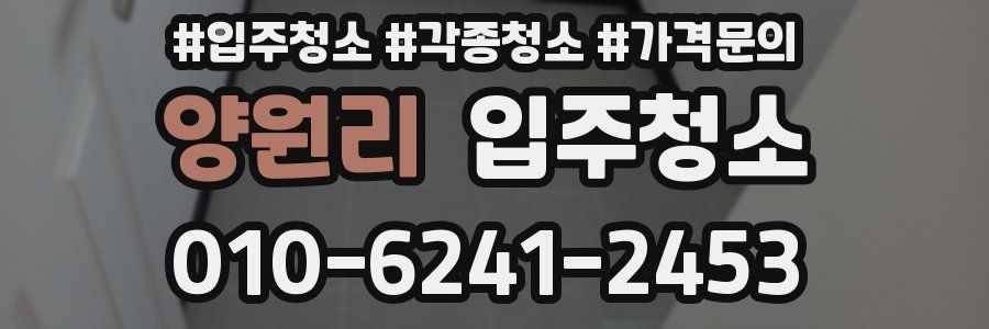 양원리 이사청소