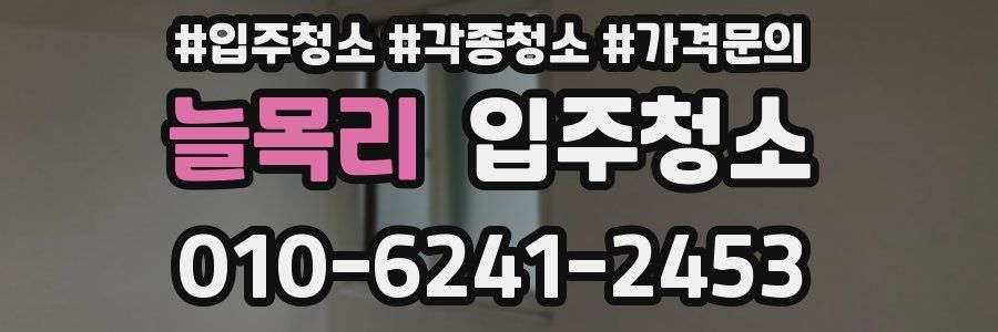 늘목리 이사청소