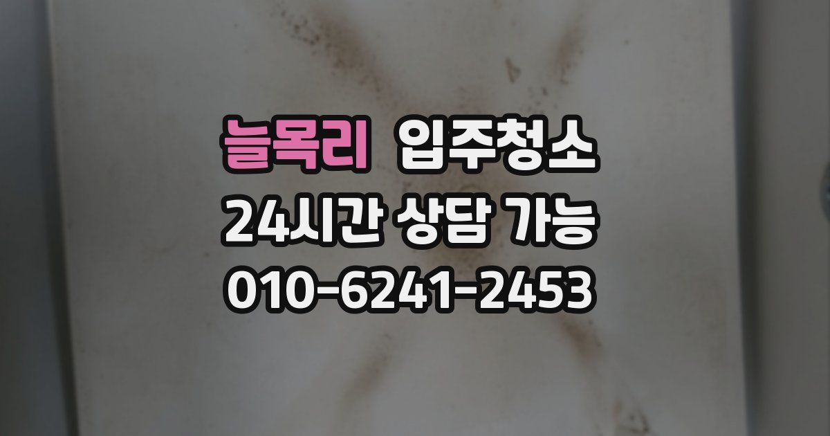 늘목리 입주청소