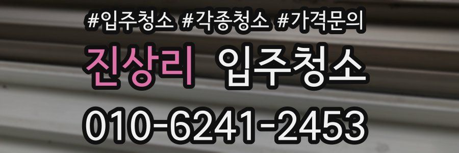 진상리 이사청소