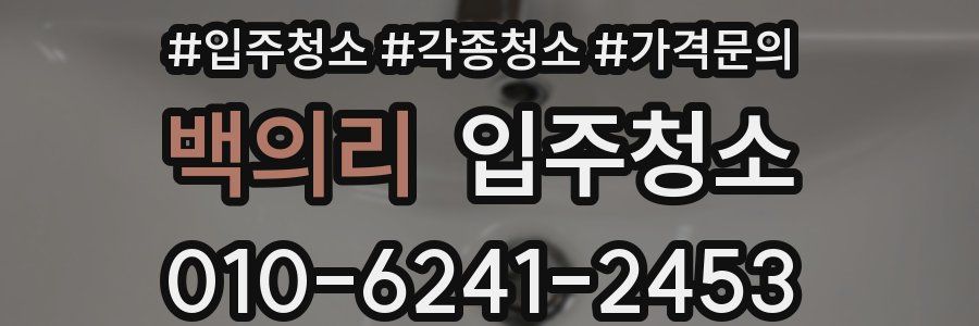 백의리 이사청소