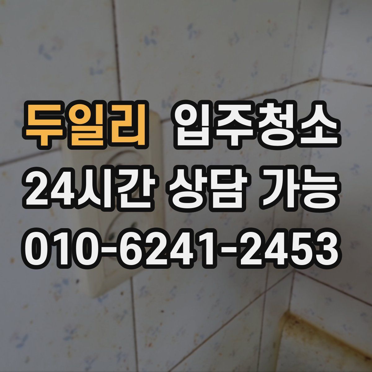 두일리 원룸청소