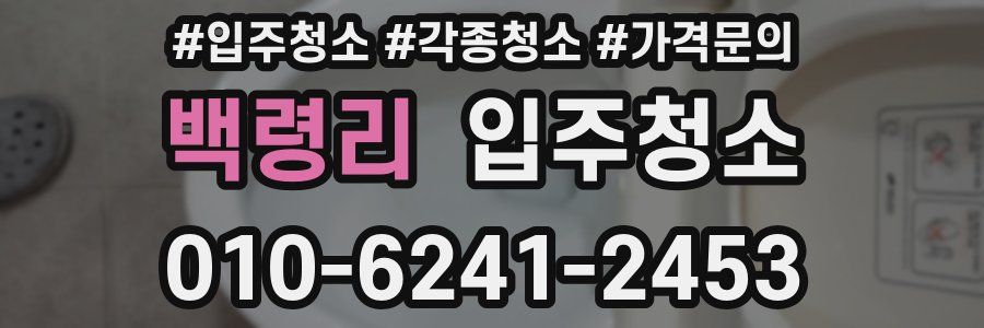 백령리 이사청소