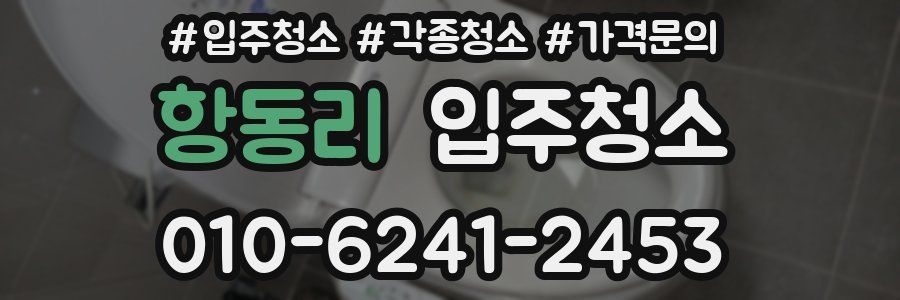 항동리 이사청소