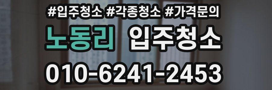 노동리 이사청소