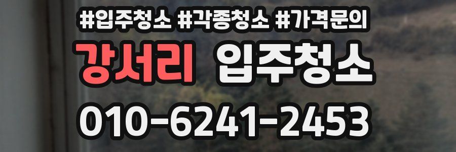 강서리 이사청소