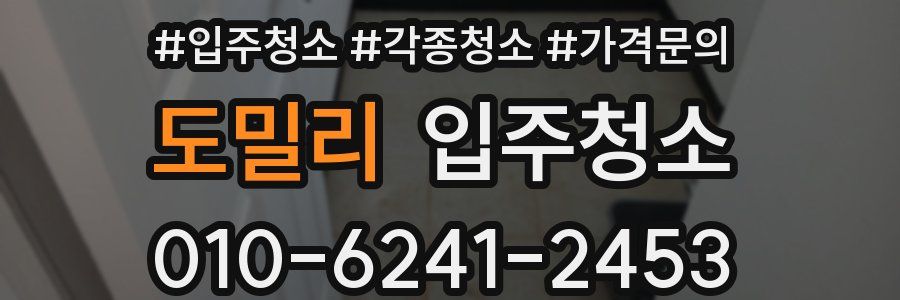 도밀리 이사청소