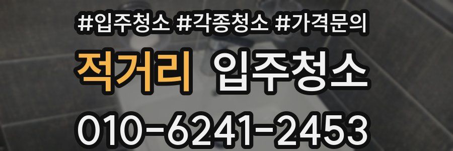 적거리 이사청소