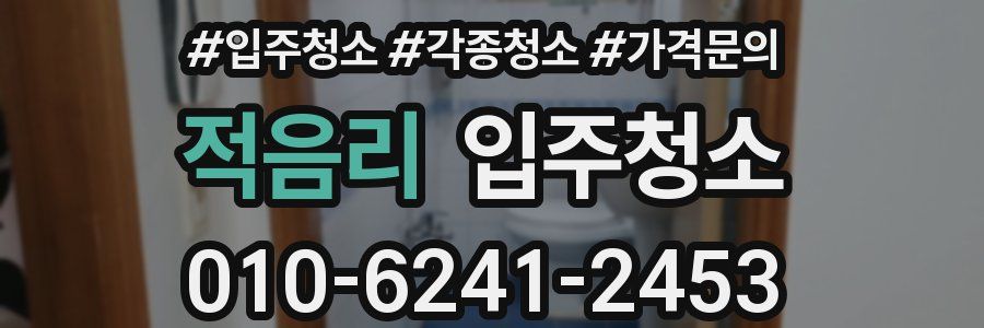 적음리 이사청소