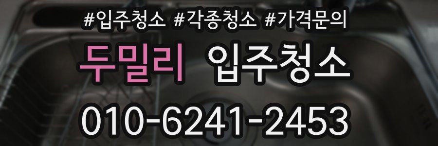 두밀리 이사청소