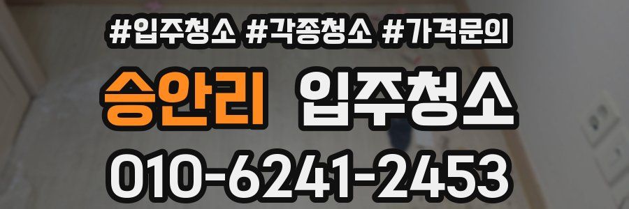 승안리 이사청소