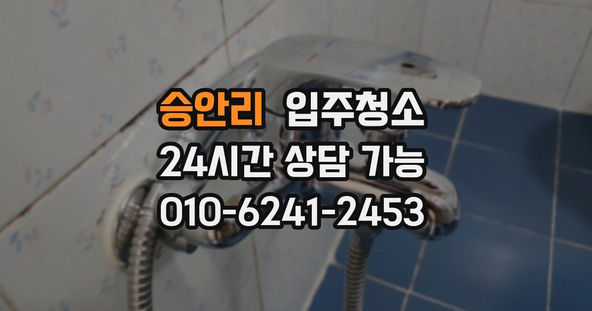 승안리 입주청소