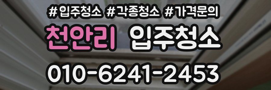 천안리 이사청소