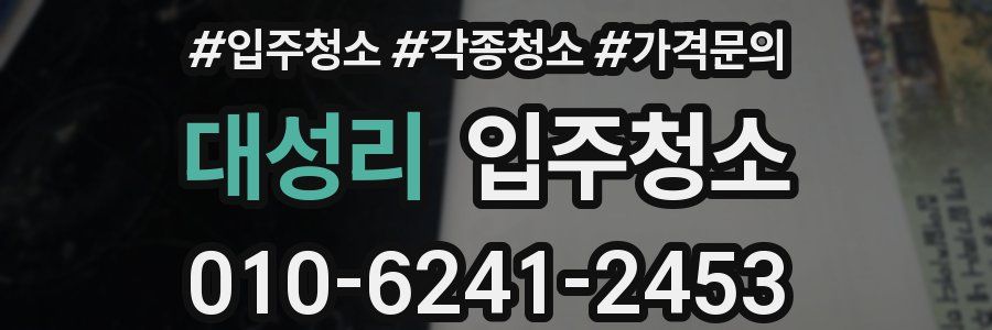 대성리 이사청소