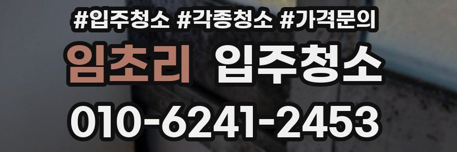 임초리 이사청소