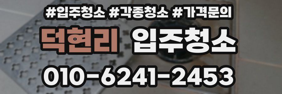 덕현리 이사청소