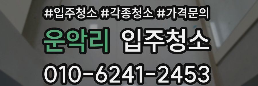 운악리 이사청소