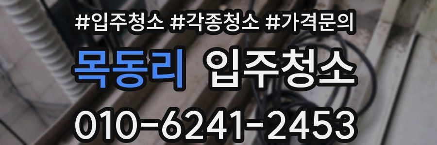 목동리 이사청소