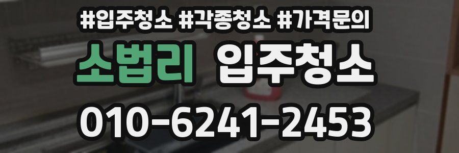 소법리 이사청소