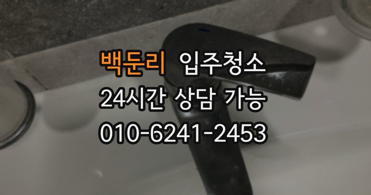 백둔리 입주청소