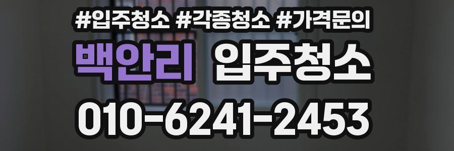 백안리 이사청소