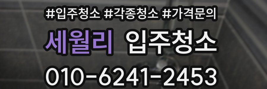 세월리 이사청소