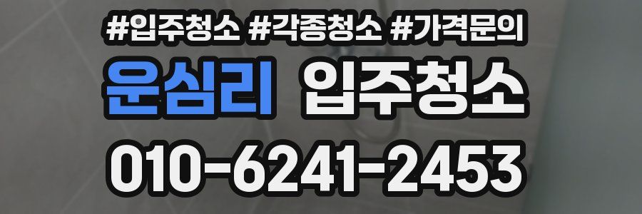 운심리 이사청소