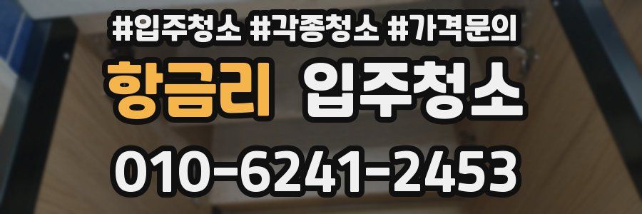 항금리 이사청소