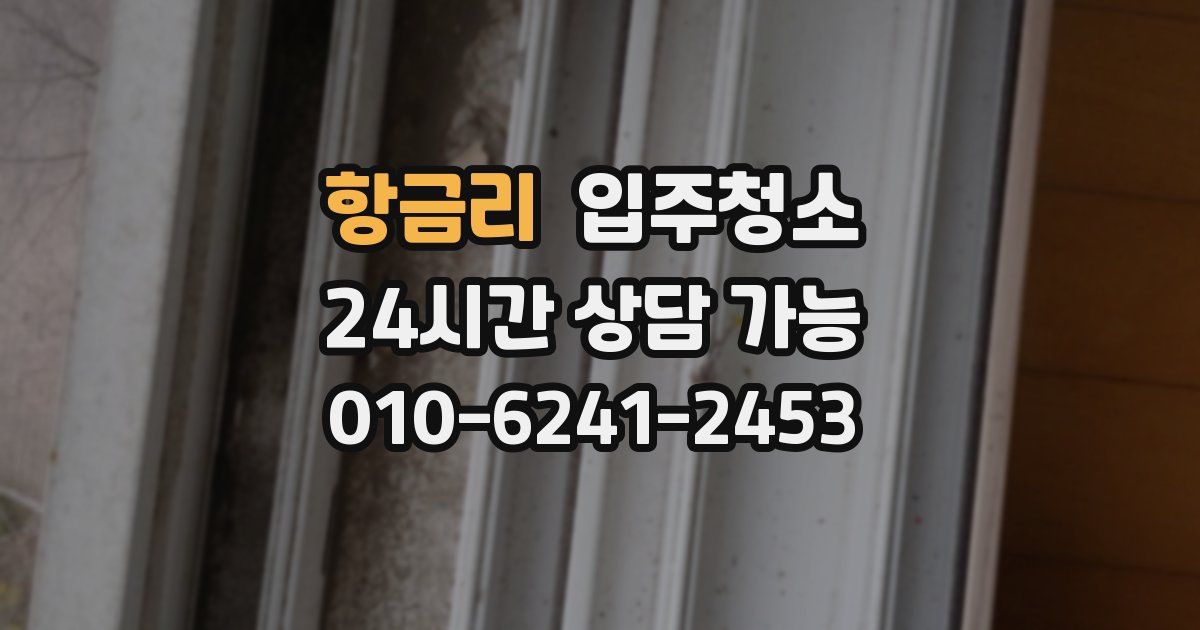 항금리 입주청소