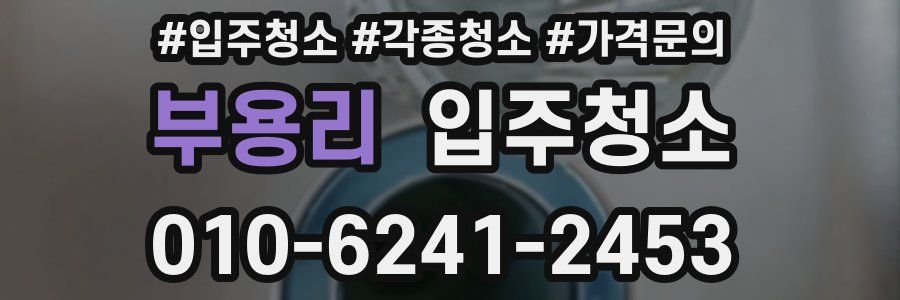 부용리 이사청소