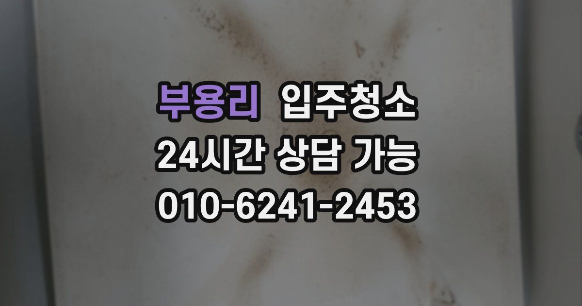 부용리 입주청소