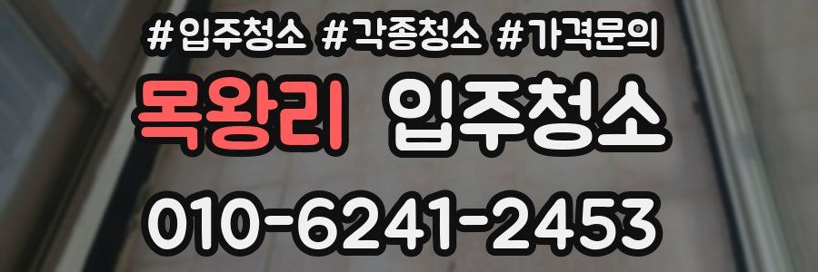 목왕리 이사청소