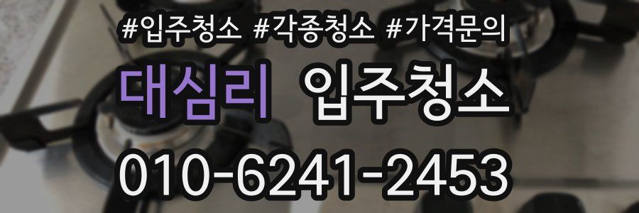 대심리 이사청소