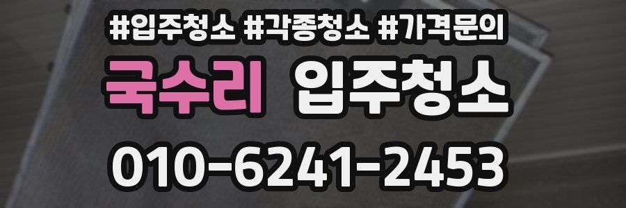 국수리 이사청소